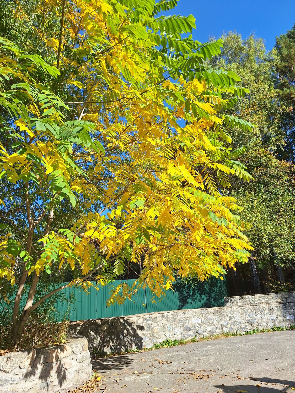 Photo #14096288
