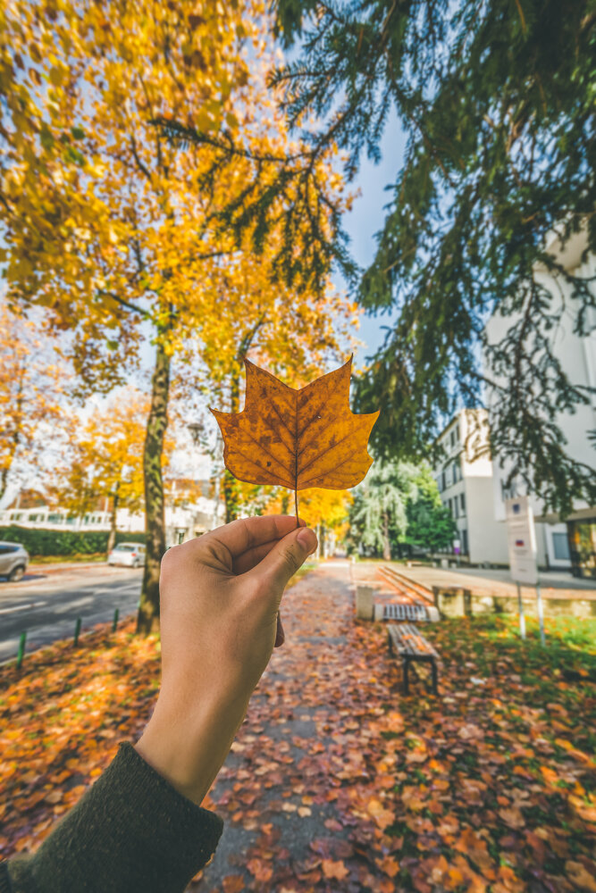 Photograph by Fahrudin Seferagić