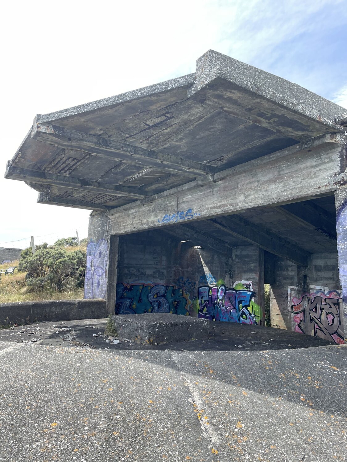 Photo #14096380