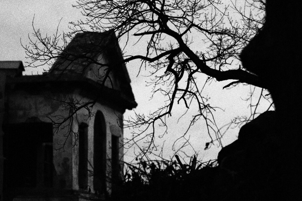 Photograph by Евгения Нестеренко