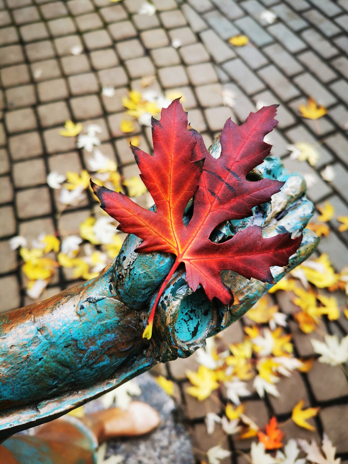 Photo #14096528
