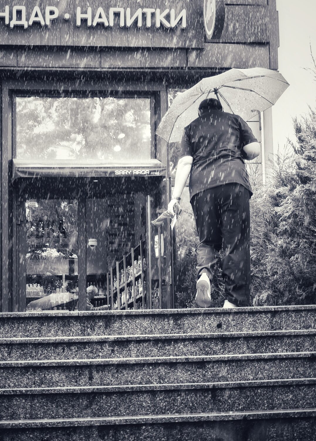 Photo #14096682