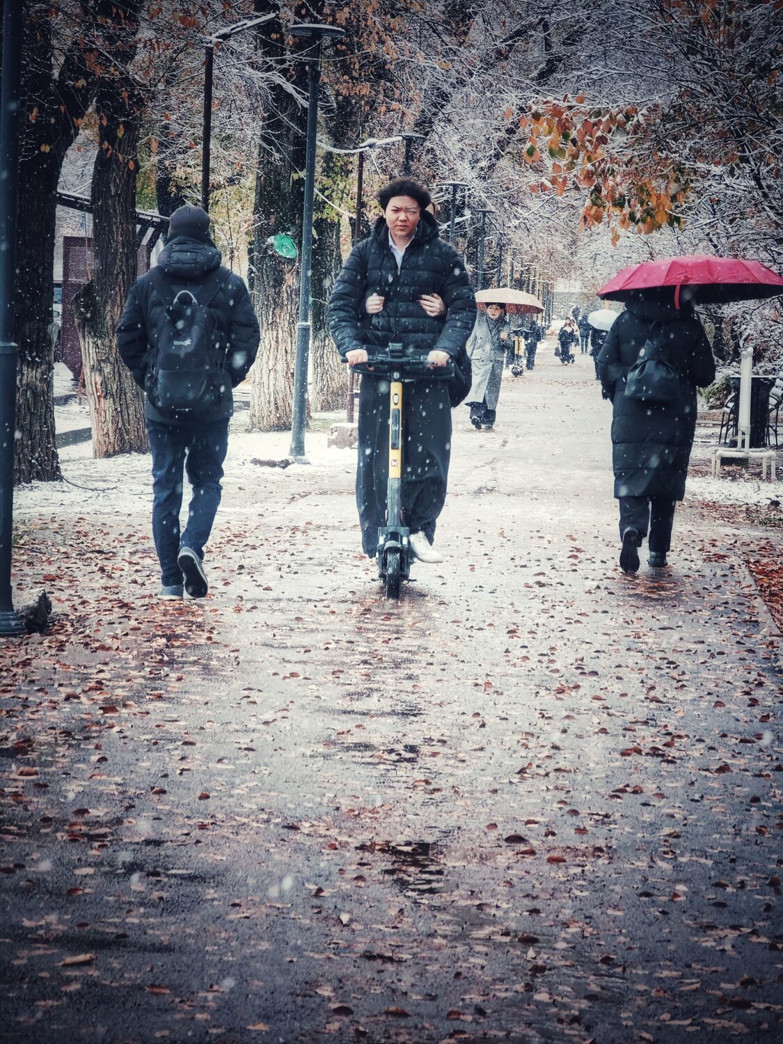 Photo #14096684