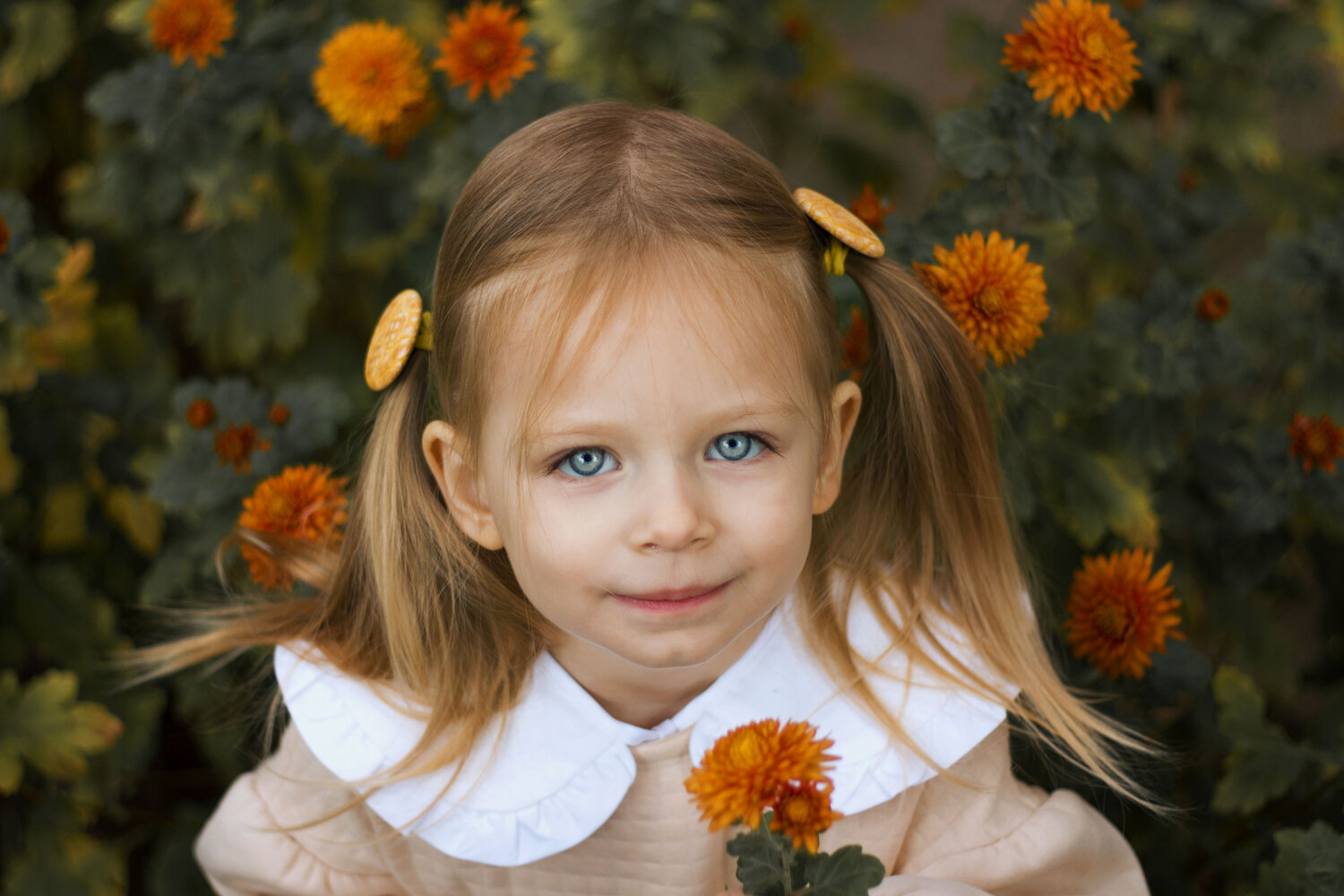 Photo #14096790