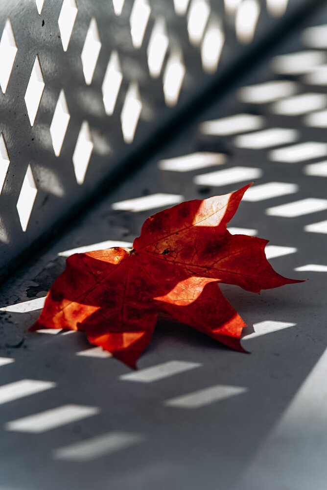 Photograph by Юлия Носкова