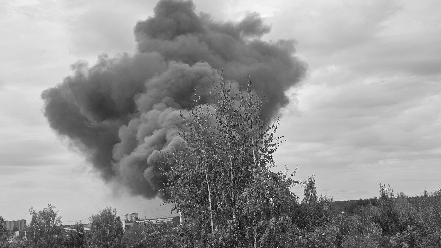 Photo #14096817