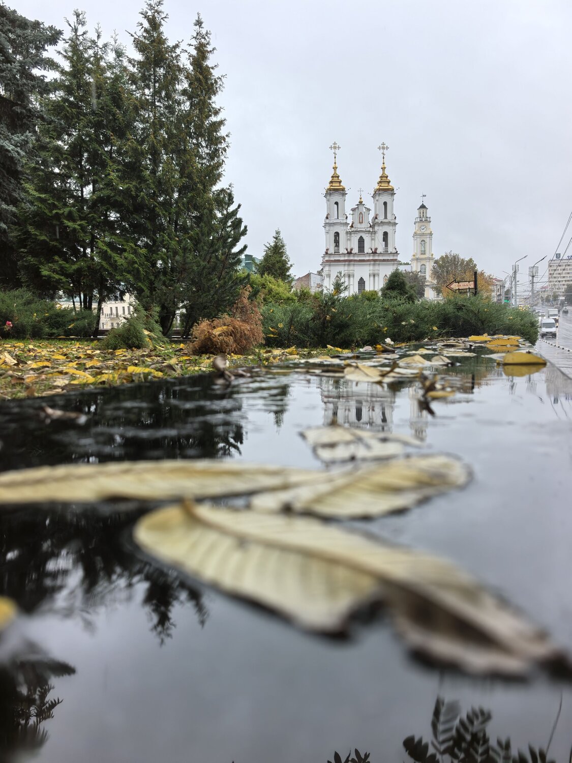 Photo #14096830