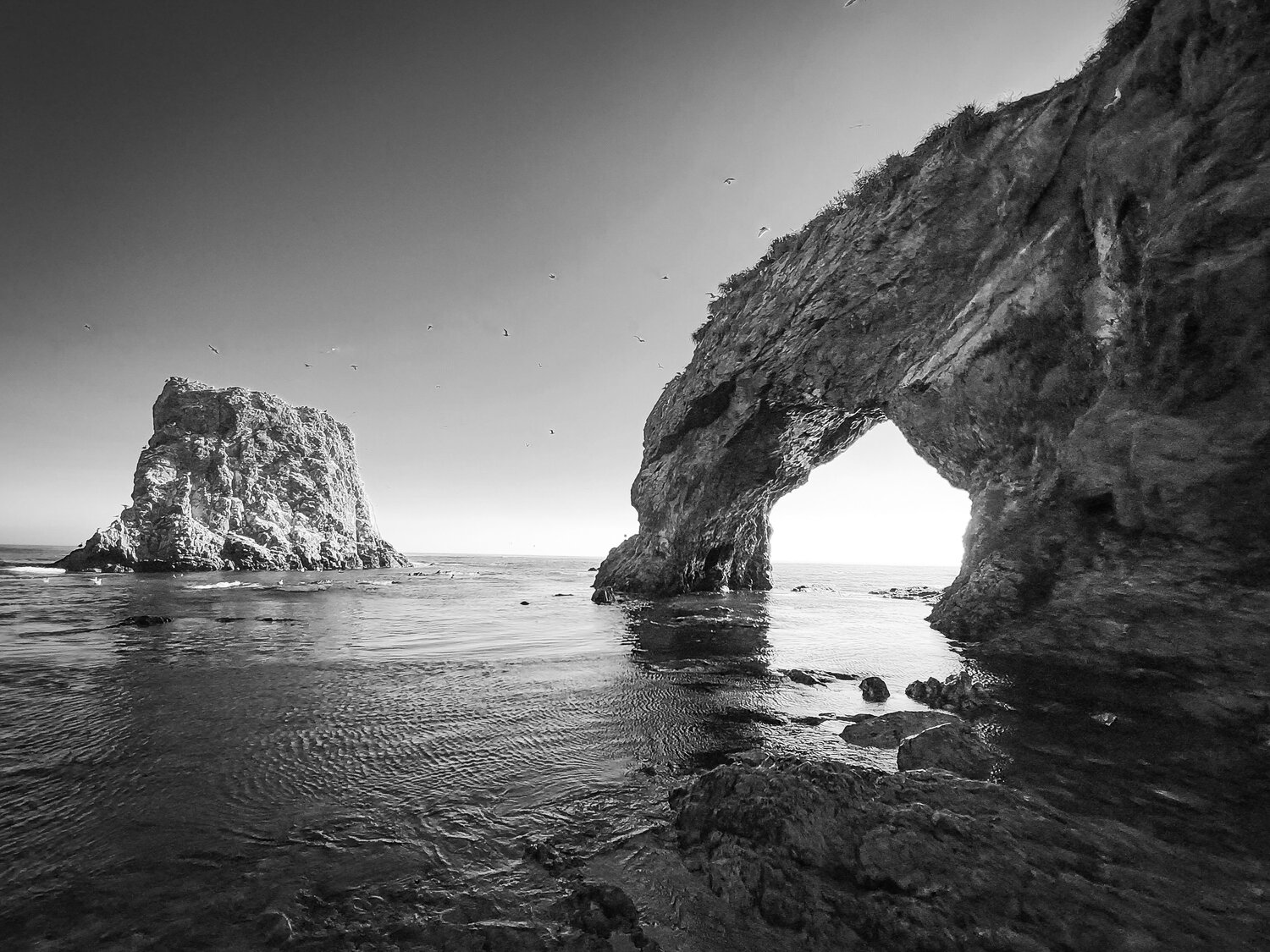 Photo #14096839