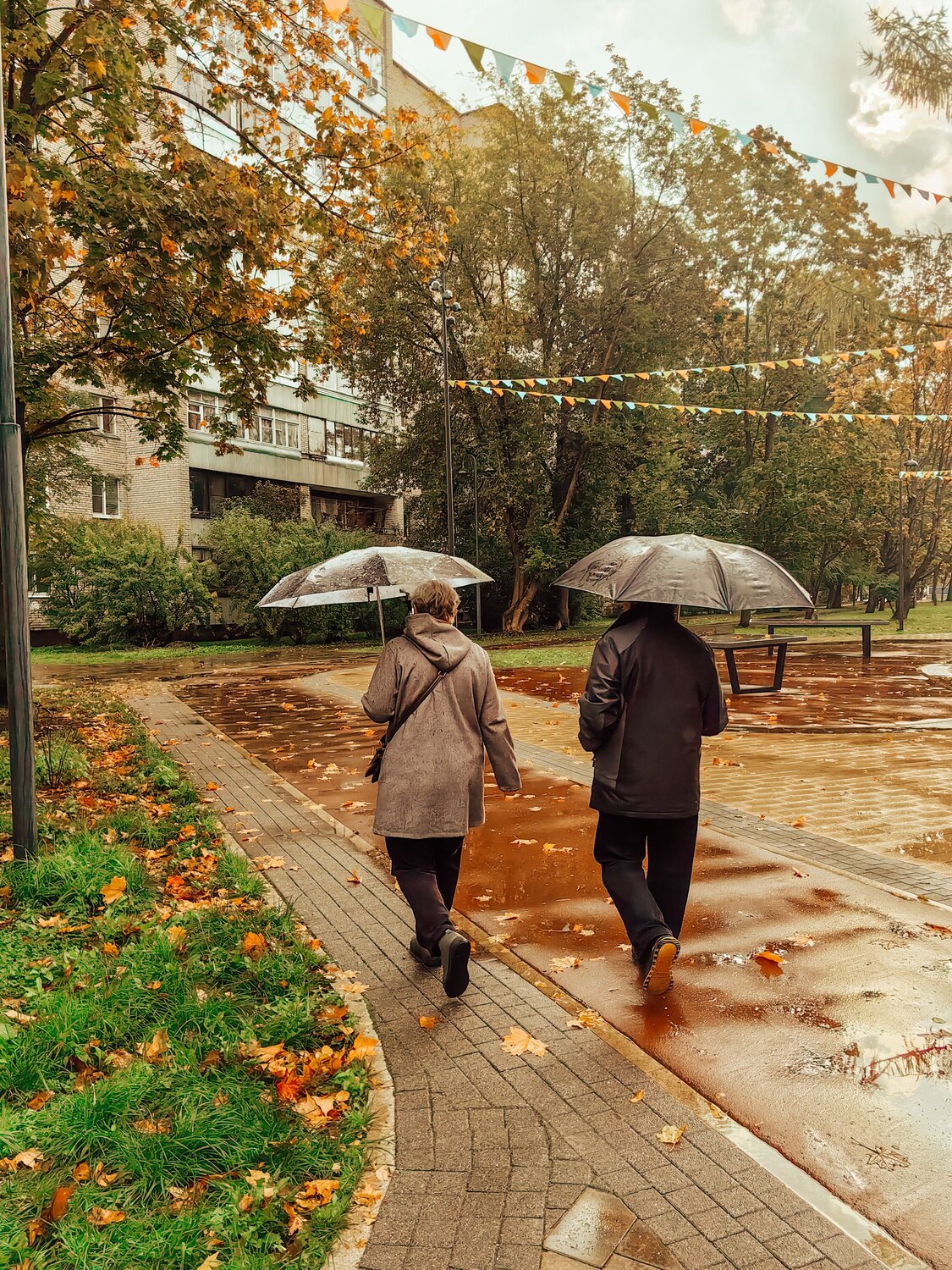 Photo #14096844
