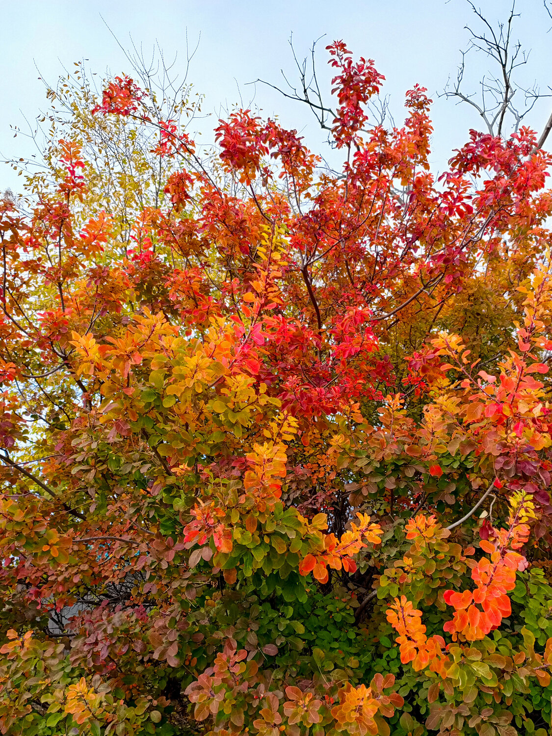 Photo #14096956