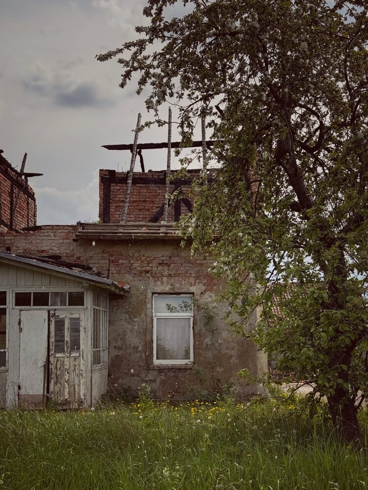 Фотография автора Жанна Колесникова