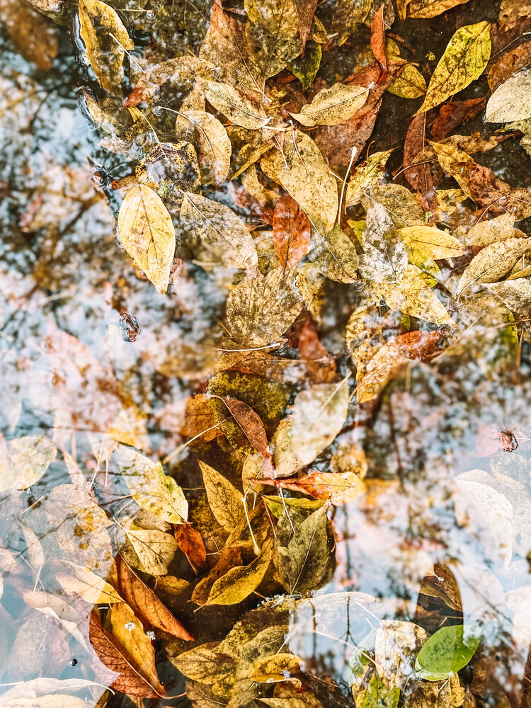 Photograph by Ирина Сафонова