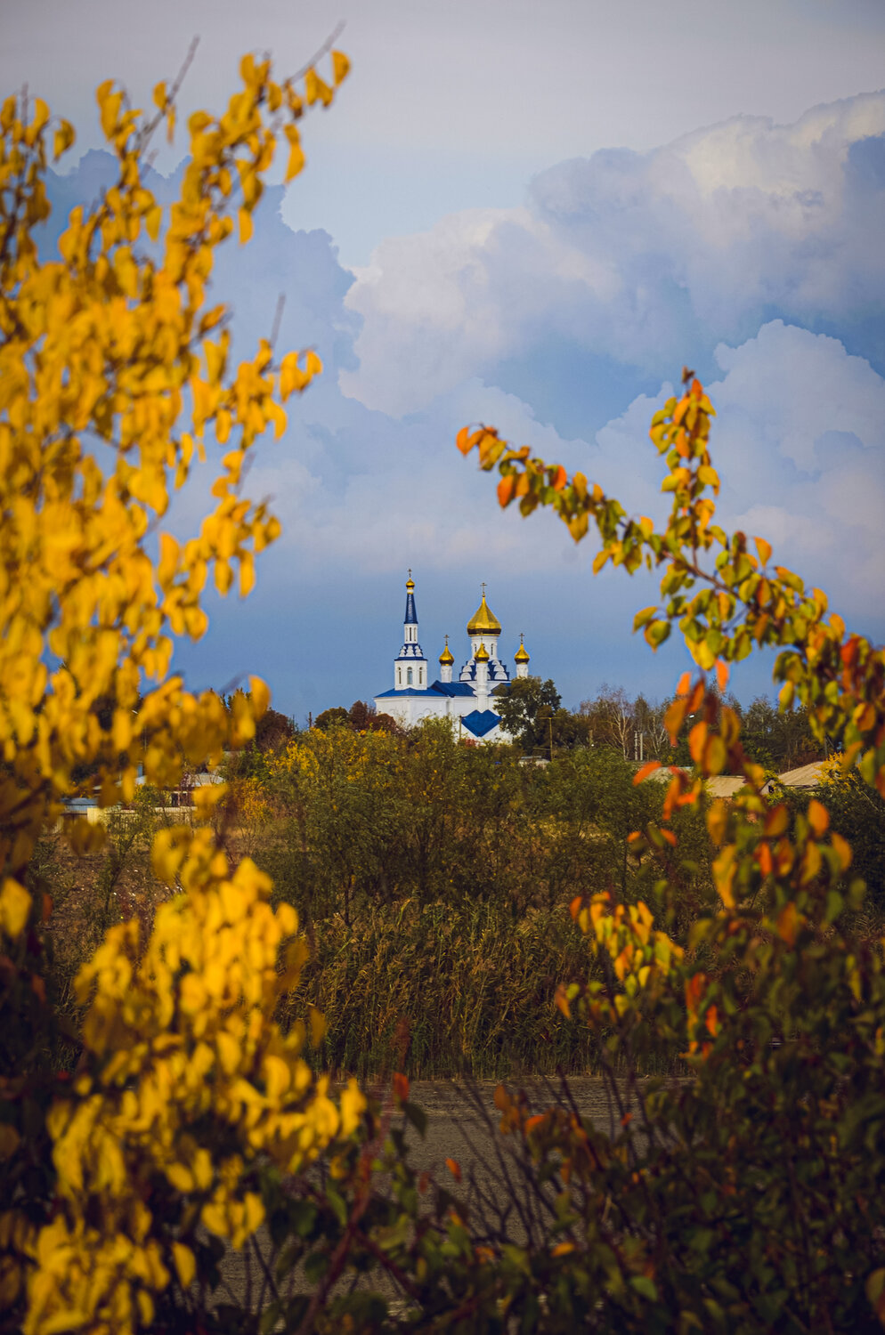 Photo #14097246