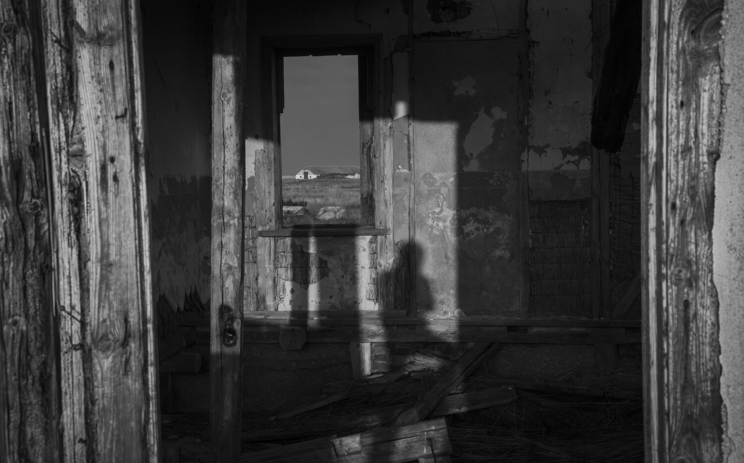 Photo #14097250