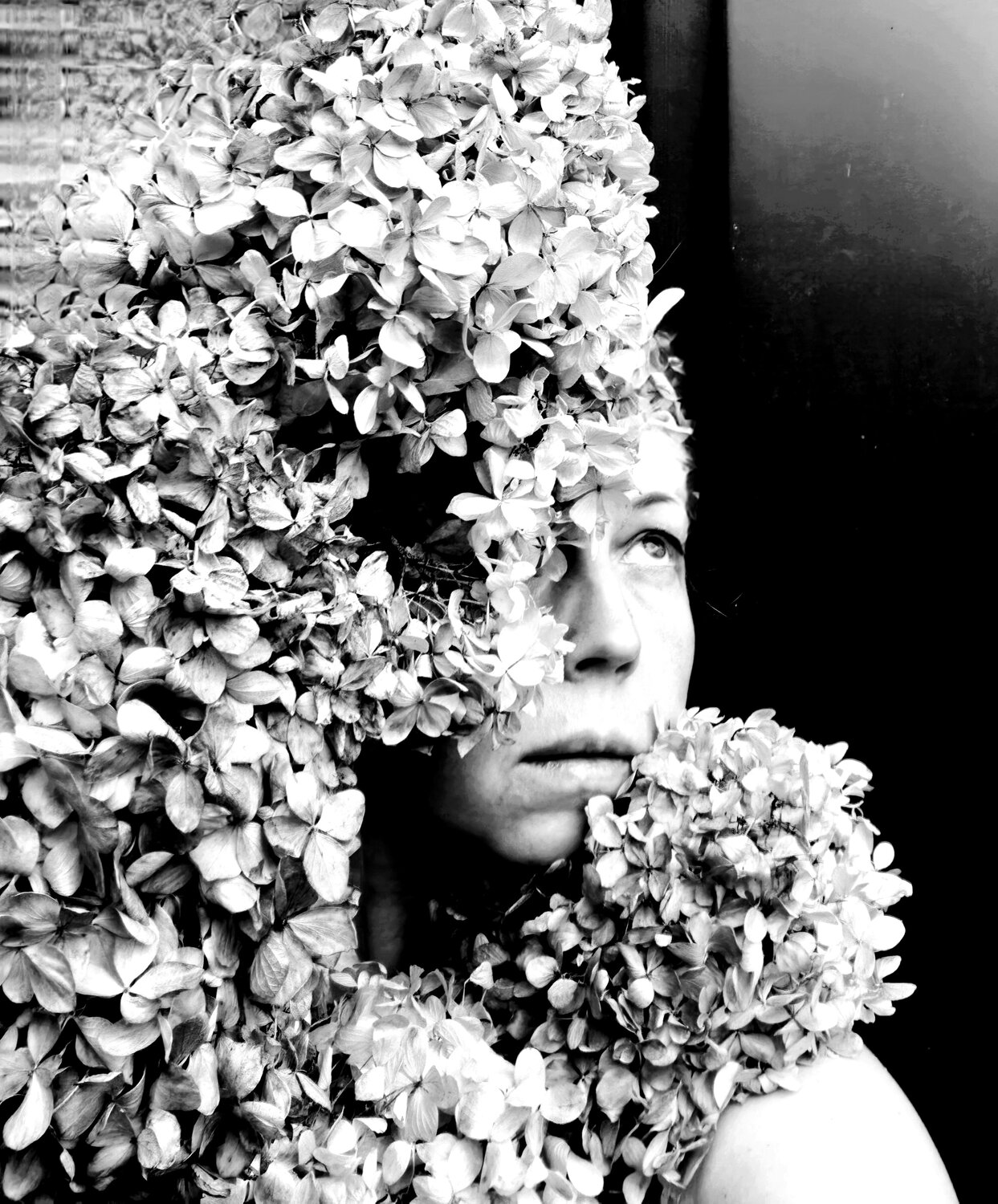 Photo #14097263