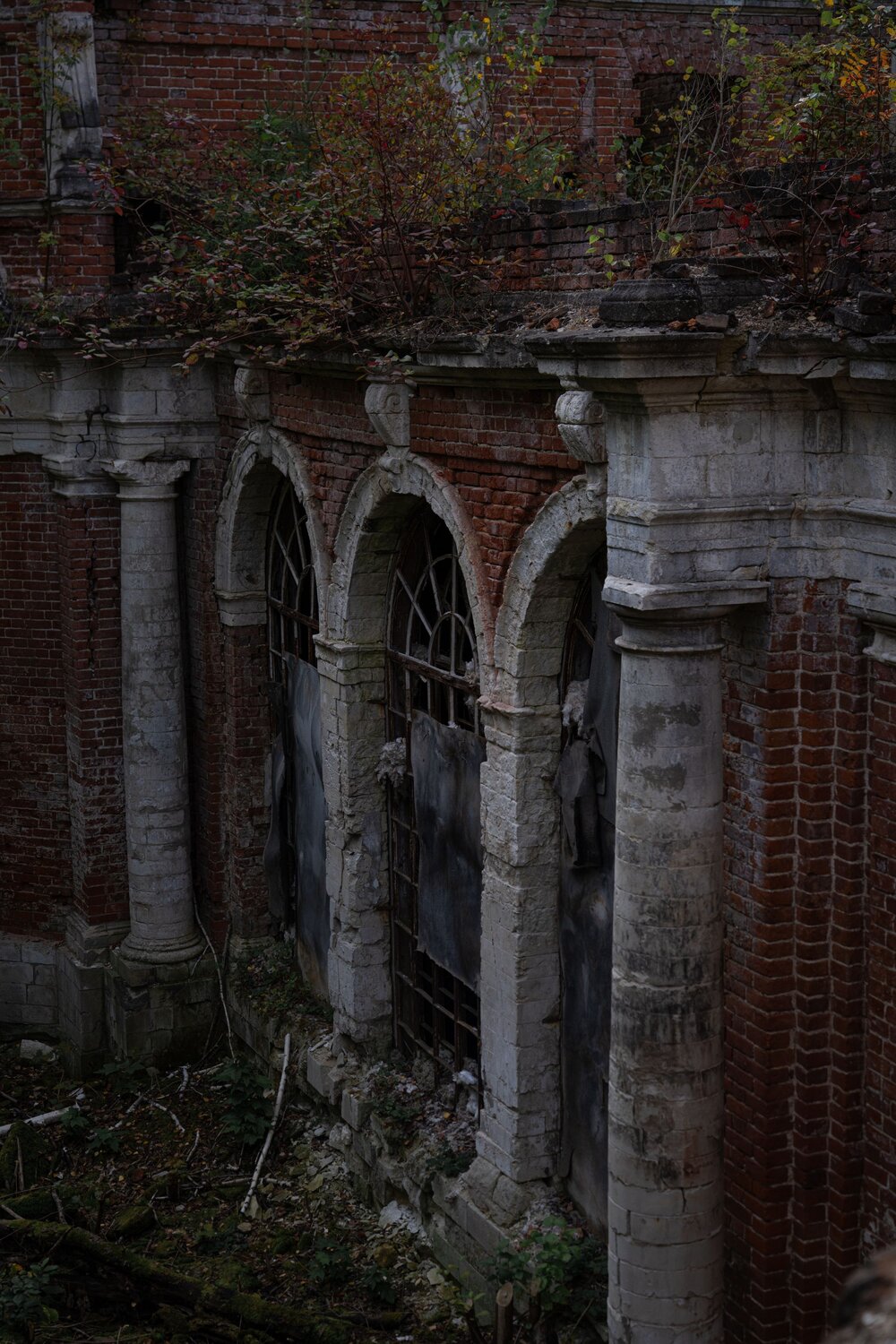 Photo #14097288