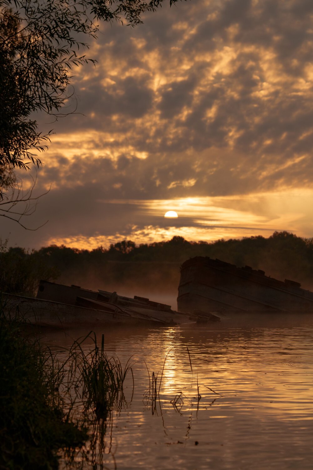 Photo #14097298