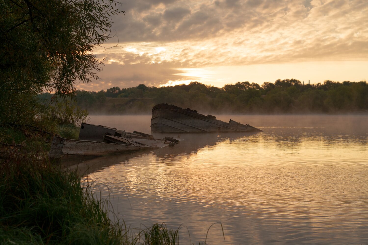Photo #14097299