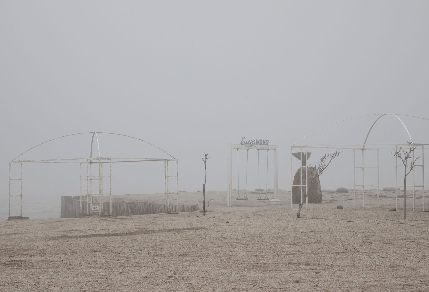 Photo #14097306