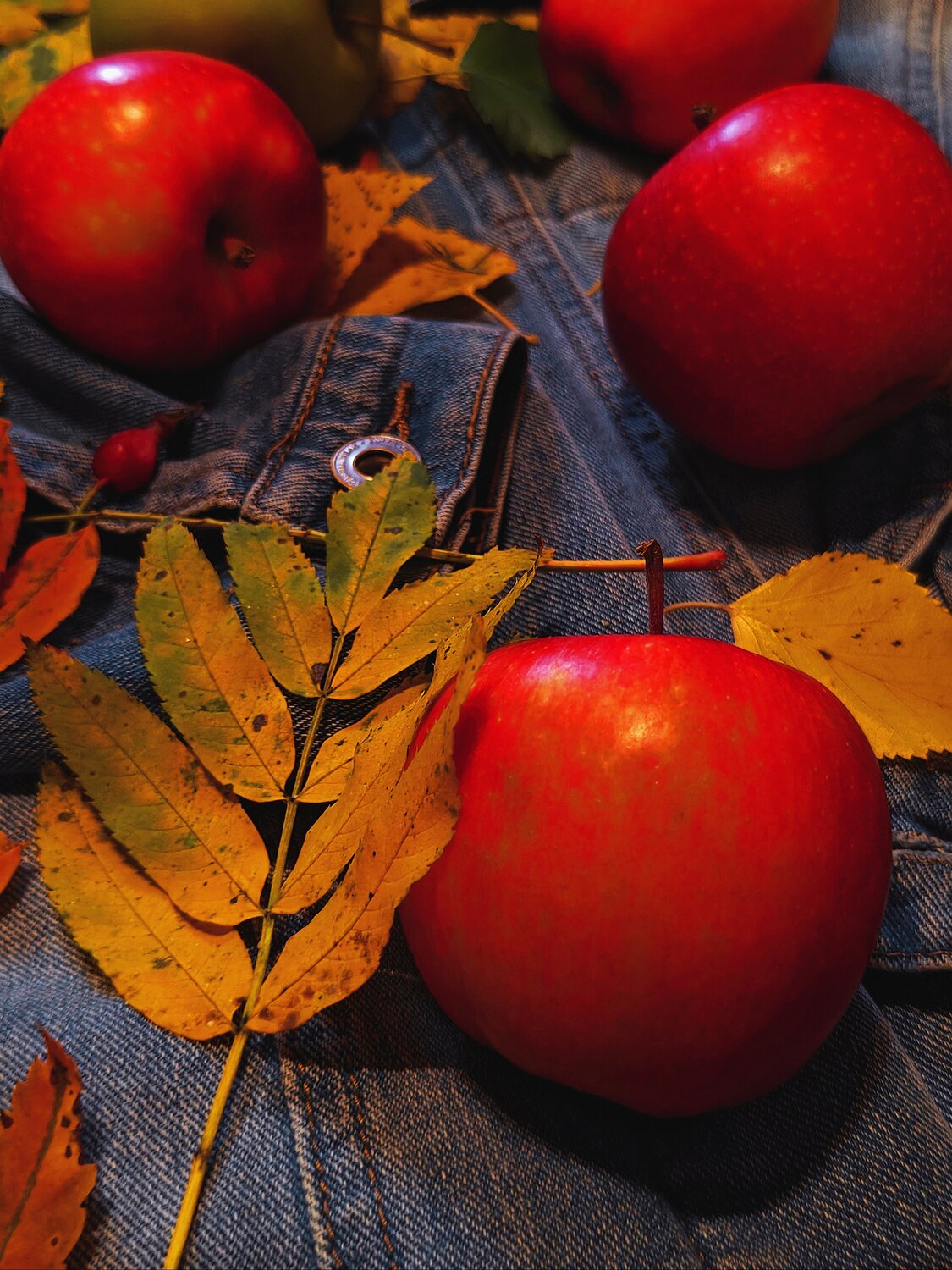 Photo #14097351