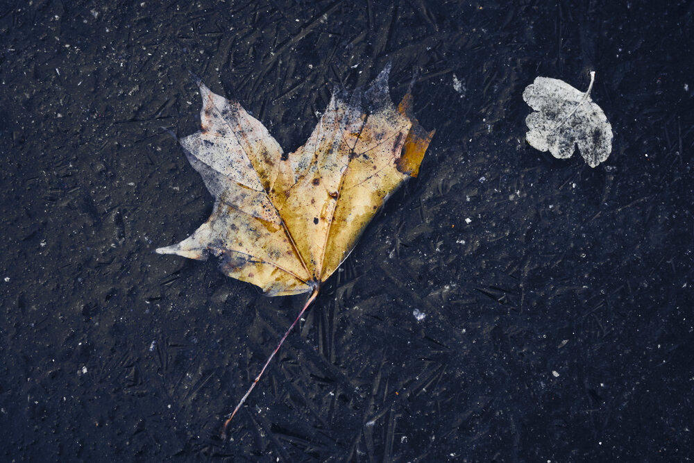 Photograph by Даниил Богомолов