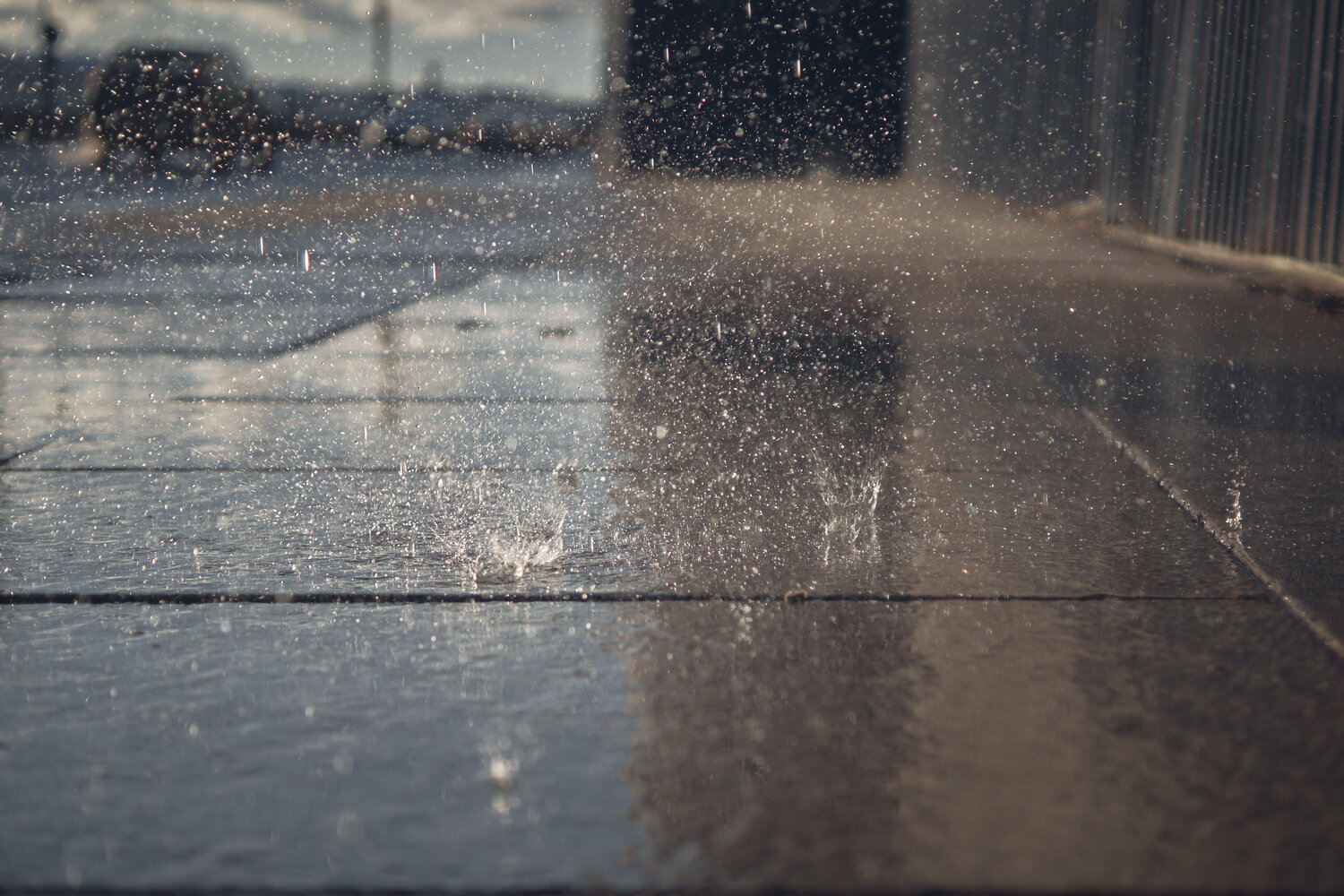 Photo #14097423