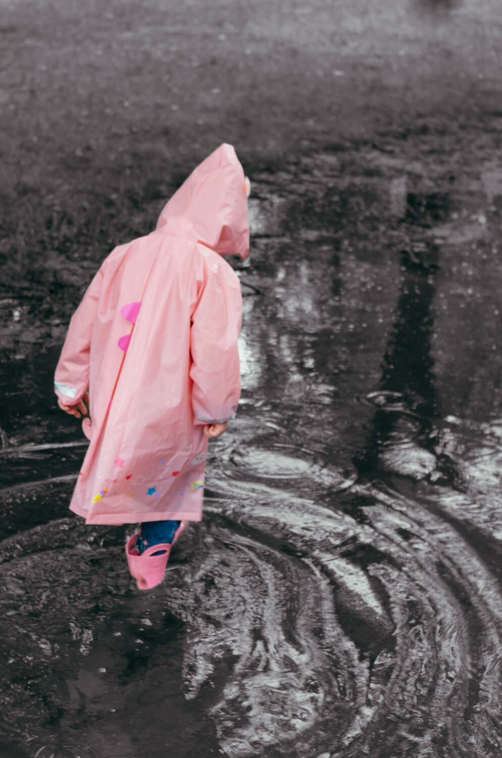Photo #14097436