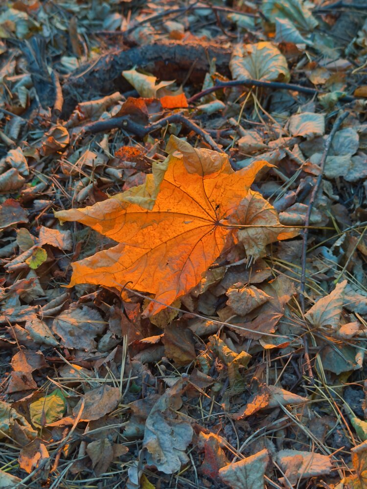 Photograph by Валерия Шишлова