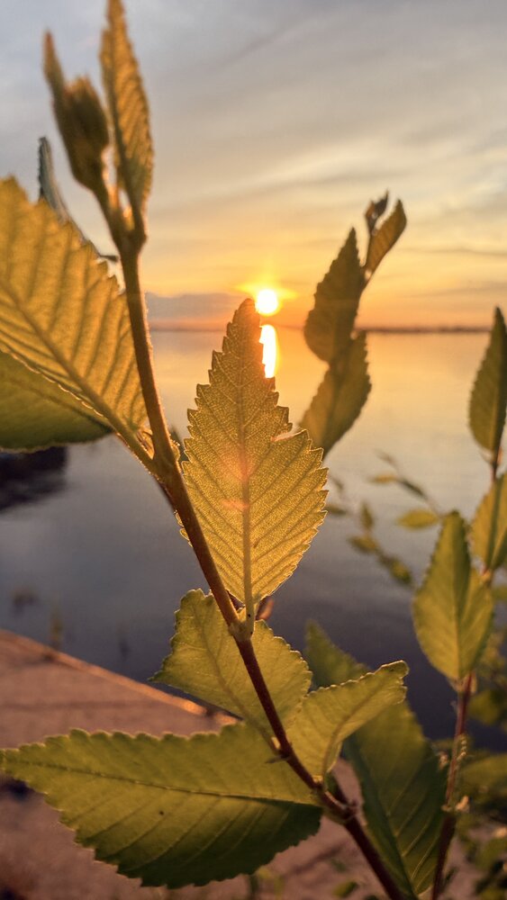 Photograph by Анна Колесниченко