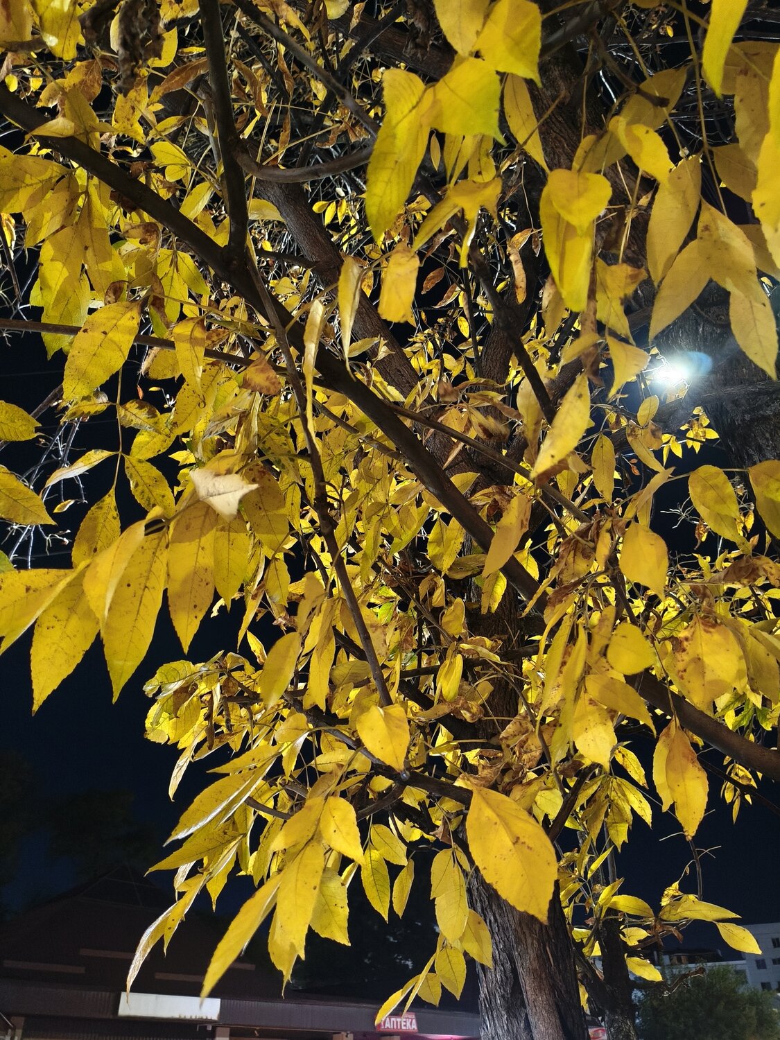 Photo #14097589