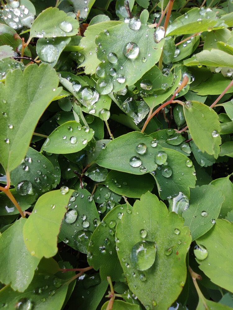 Фотография #14097590