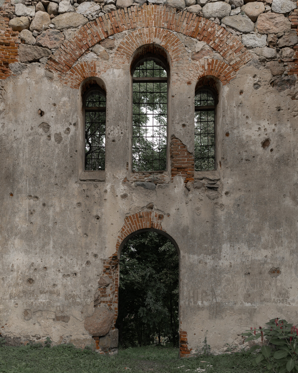 Photo #14097637