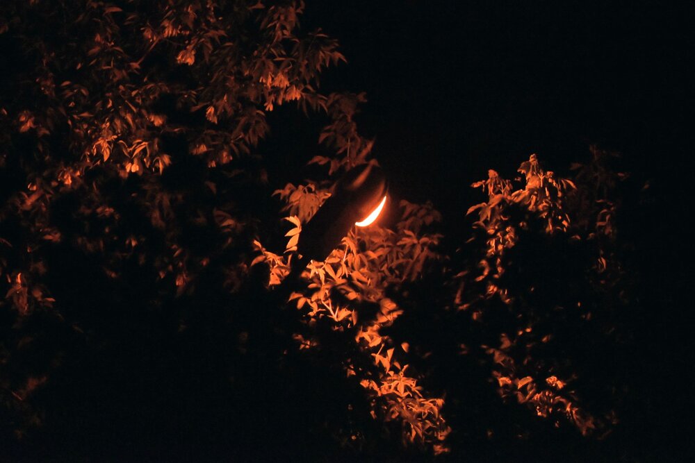 Photograph by Дарья Булавина
