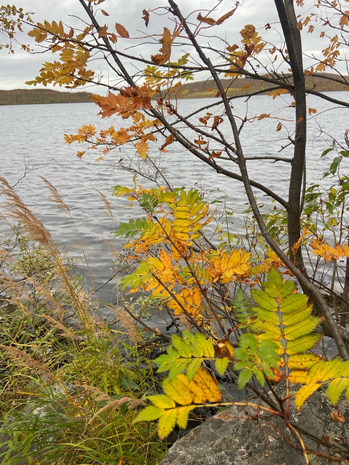 Photo #14097647