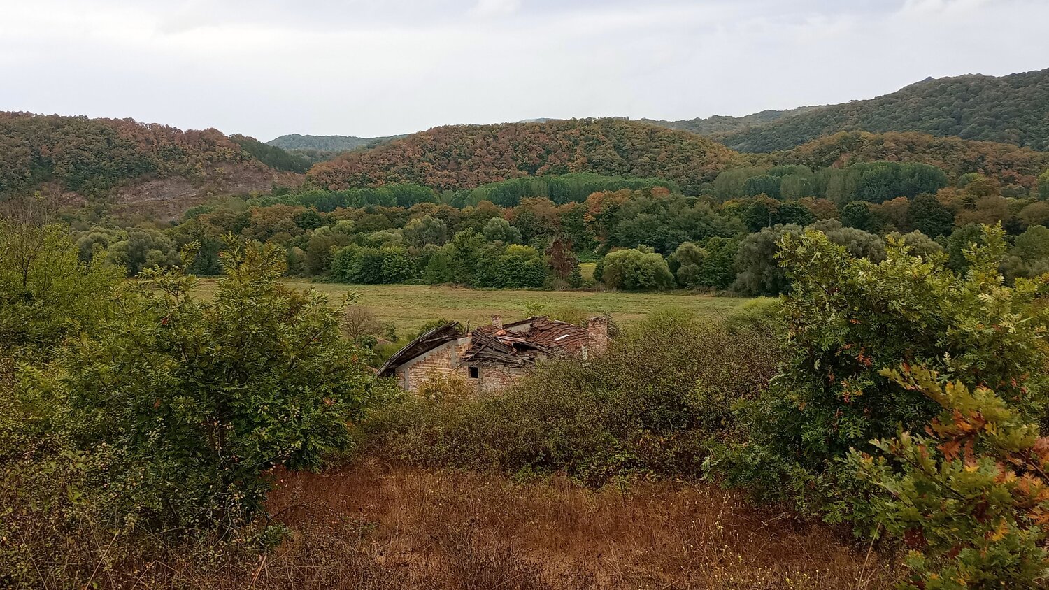 Photo #14097671