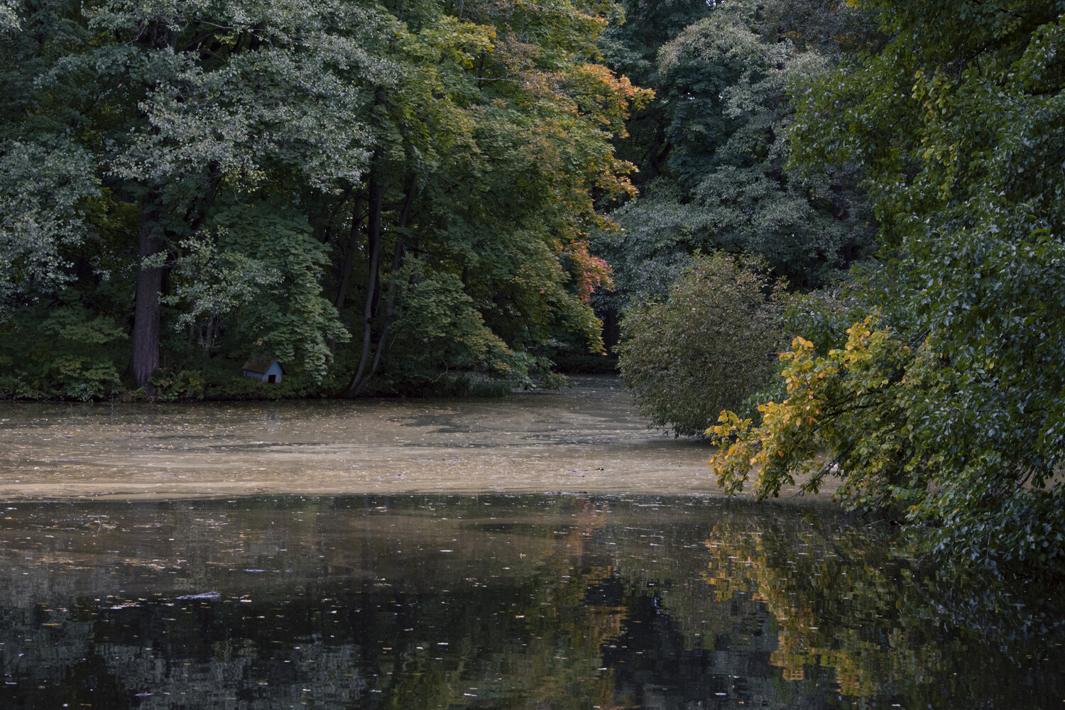 Photo #14097723