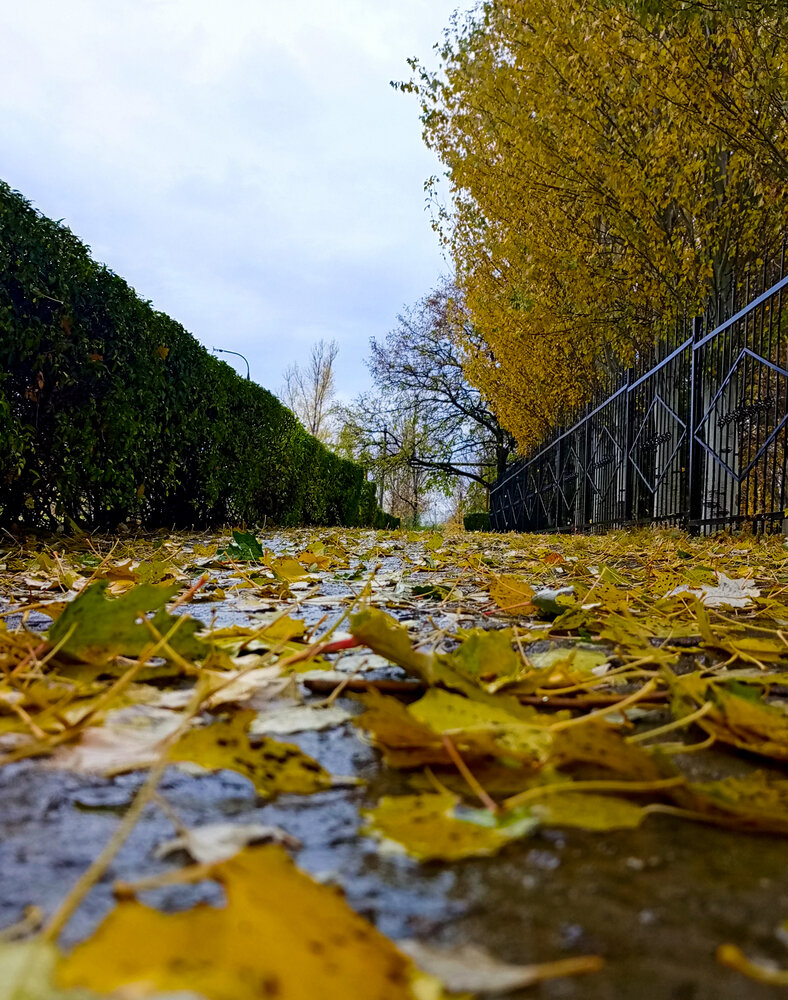 Photograph by Владимир Хохлов