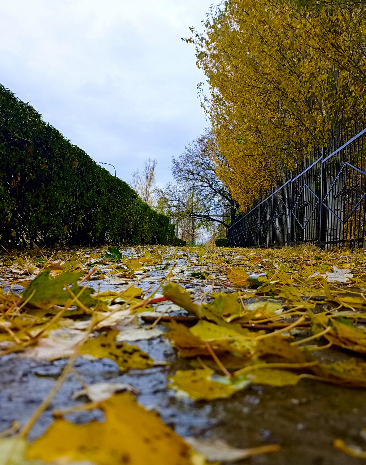 Photo #14097778