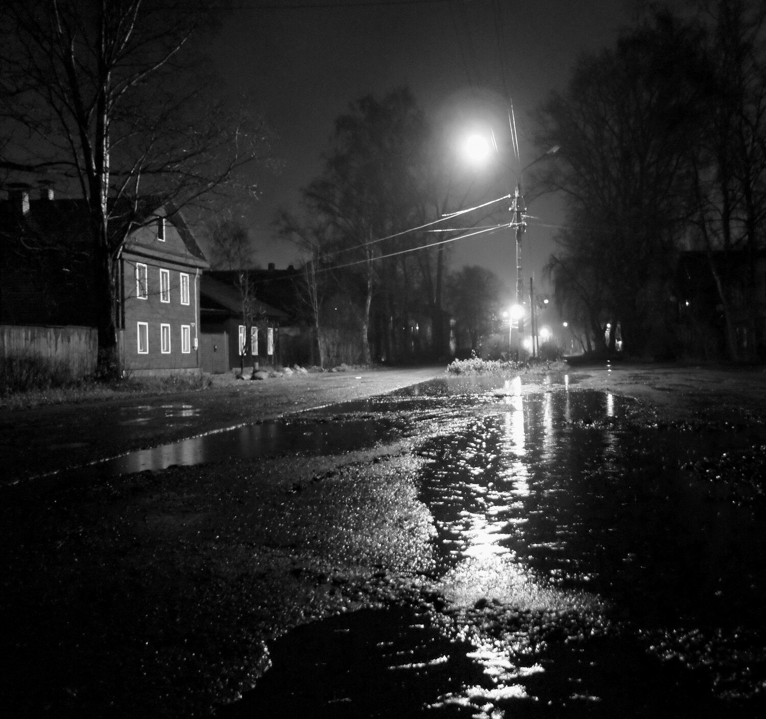 Photo #14097801