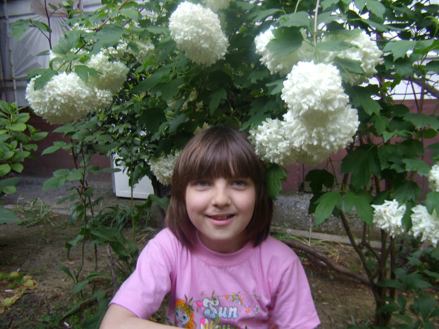 Photo #14097857
