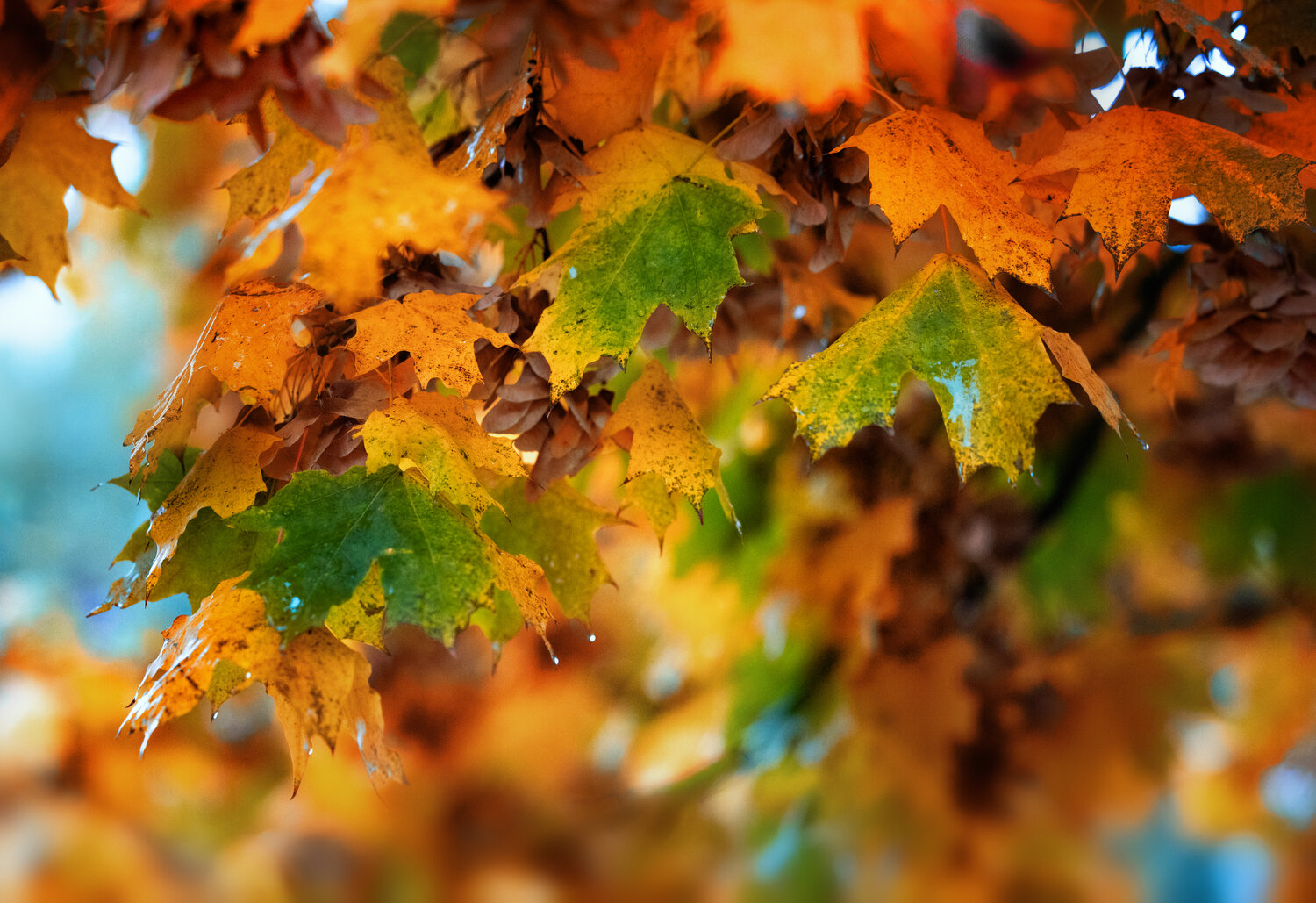 Photo #14097859