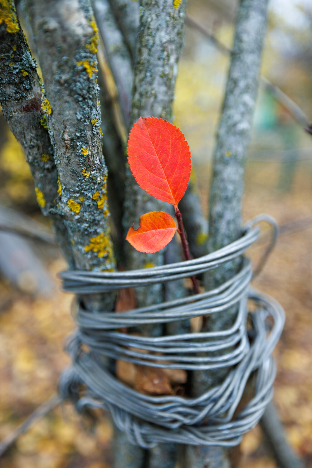 Photo #14097932