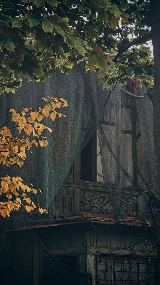 Photograph by Наталья Белова
