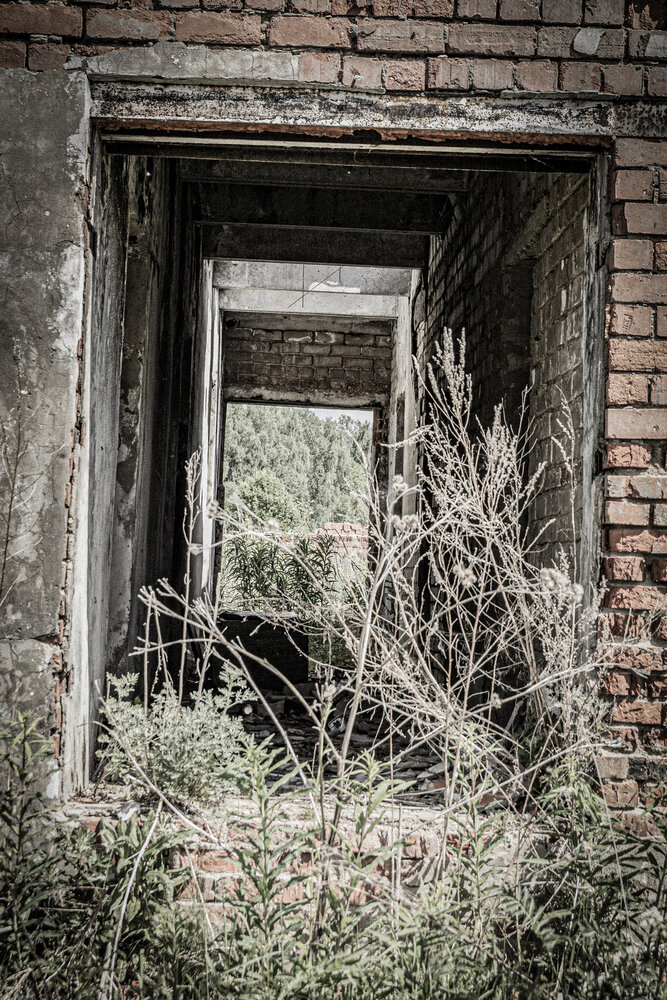 Photograph by Артемий Ляшенко