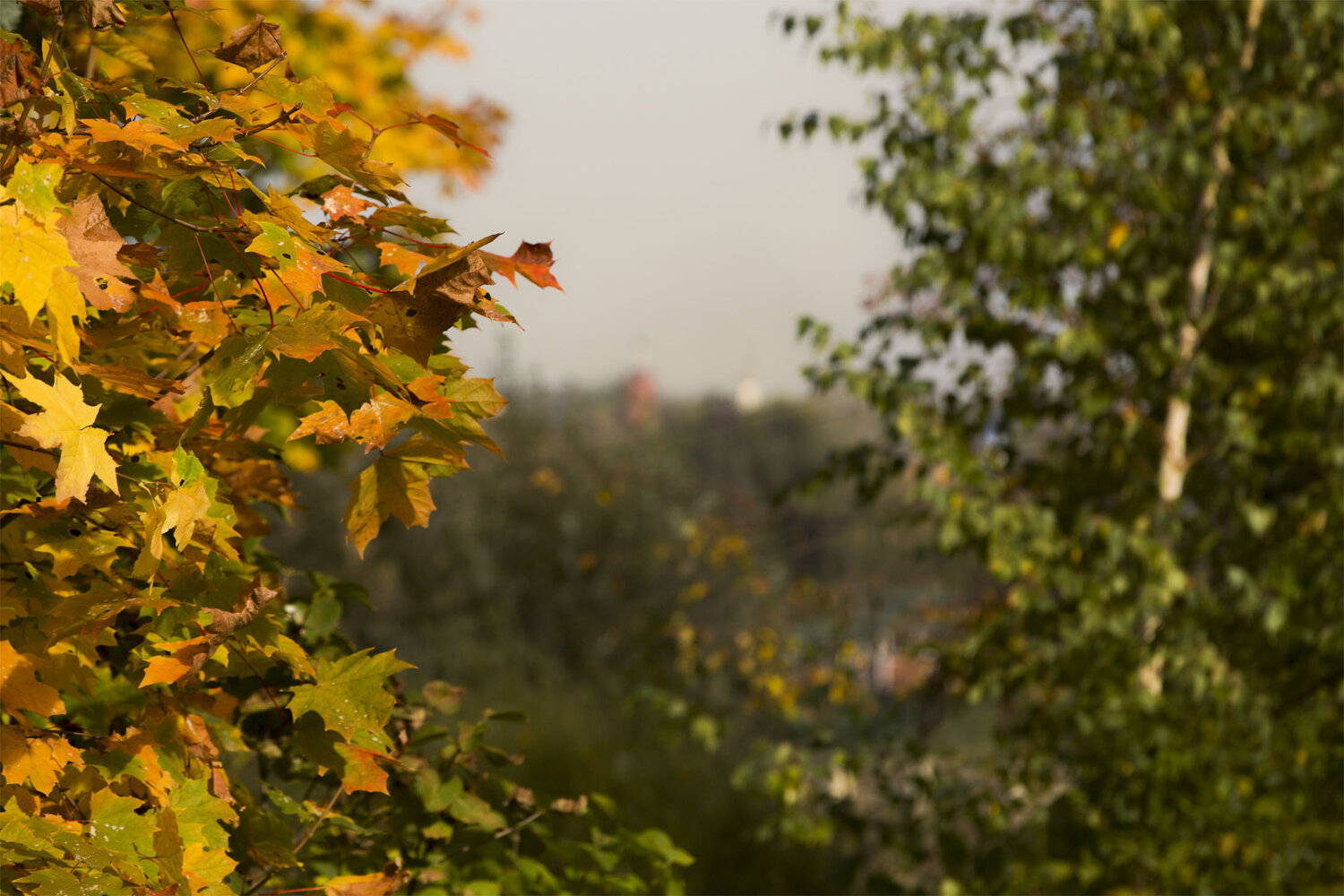 Photo #14097974