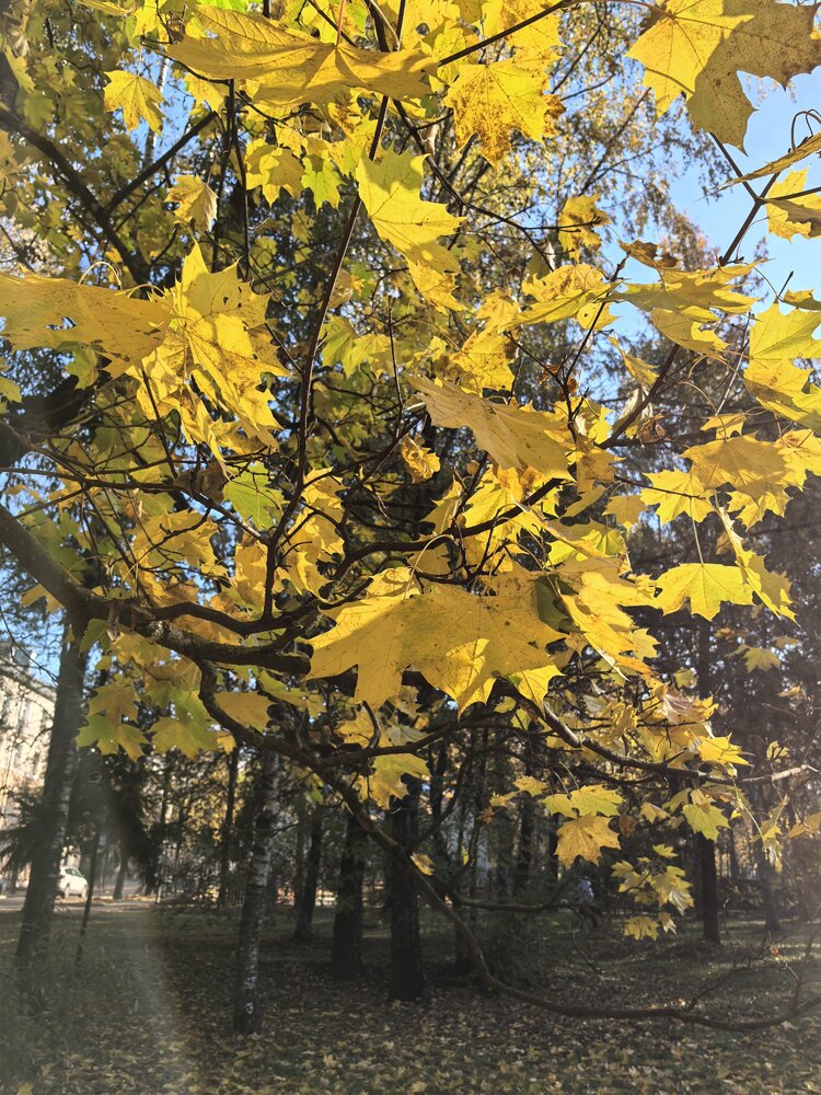 Photograph by Александр Сипаров