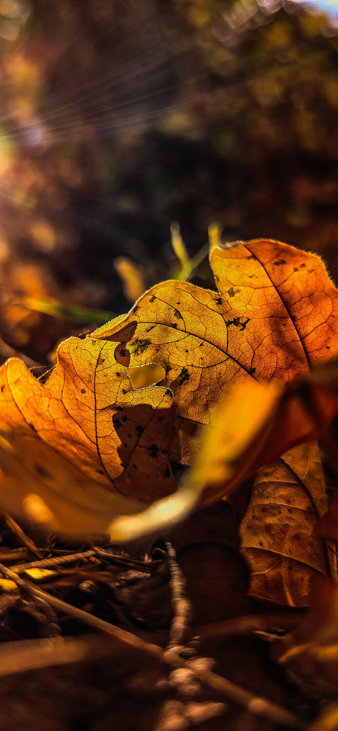 Photo #14098147