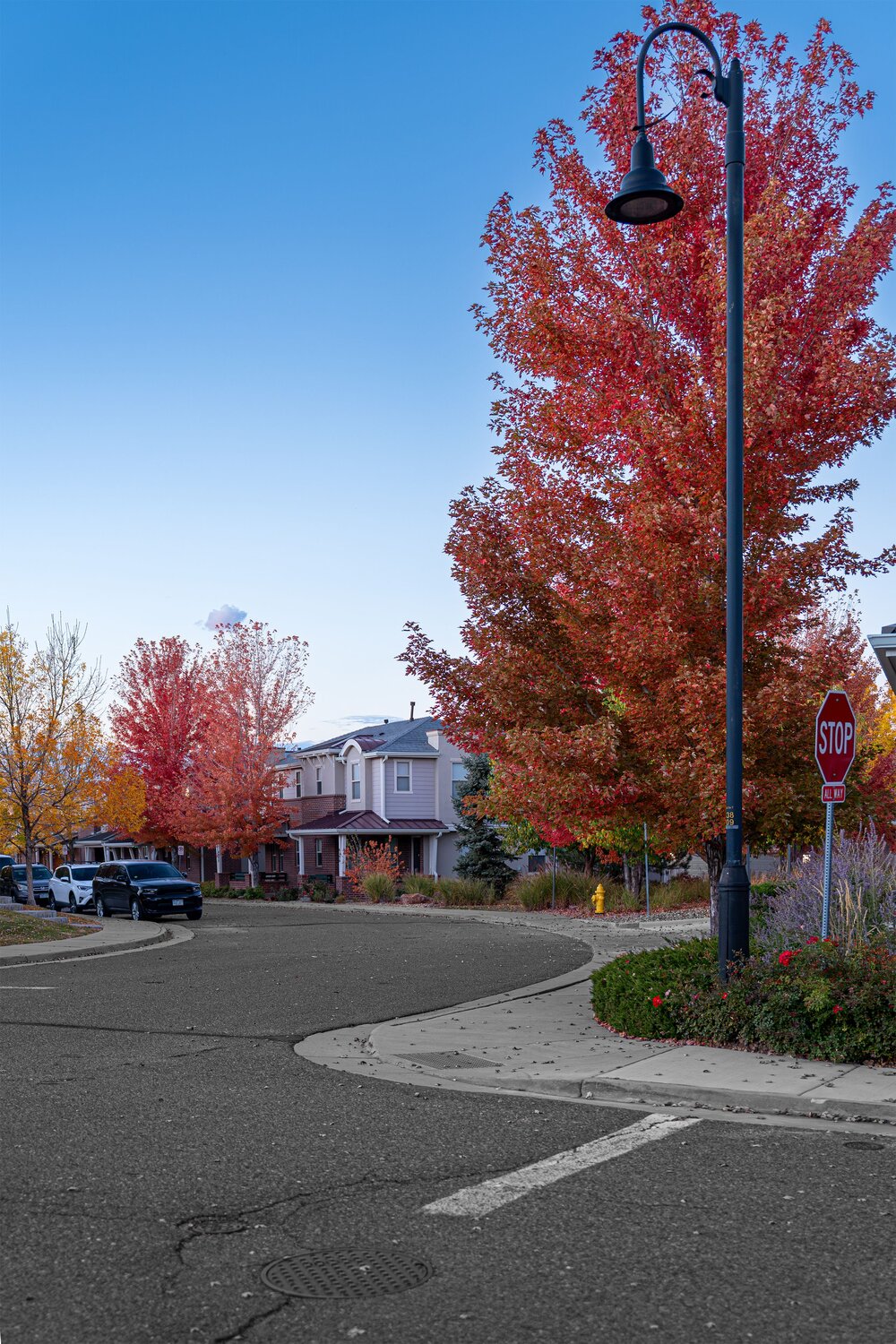 Crimson Twilight in the Suburbs