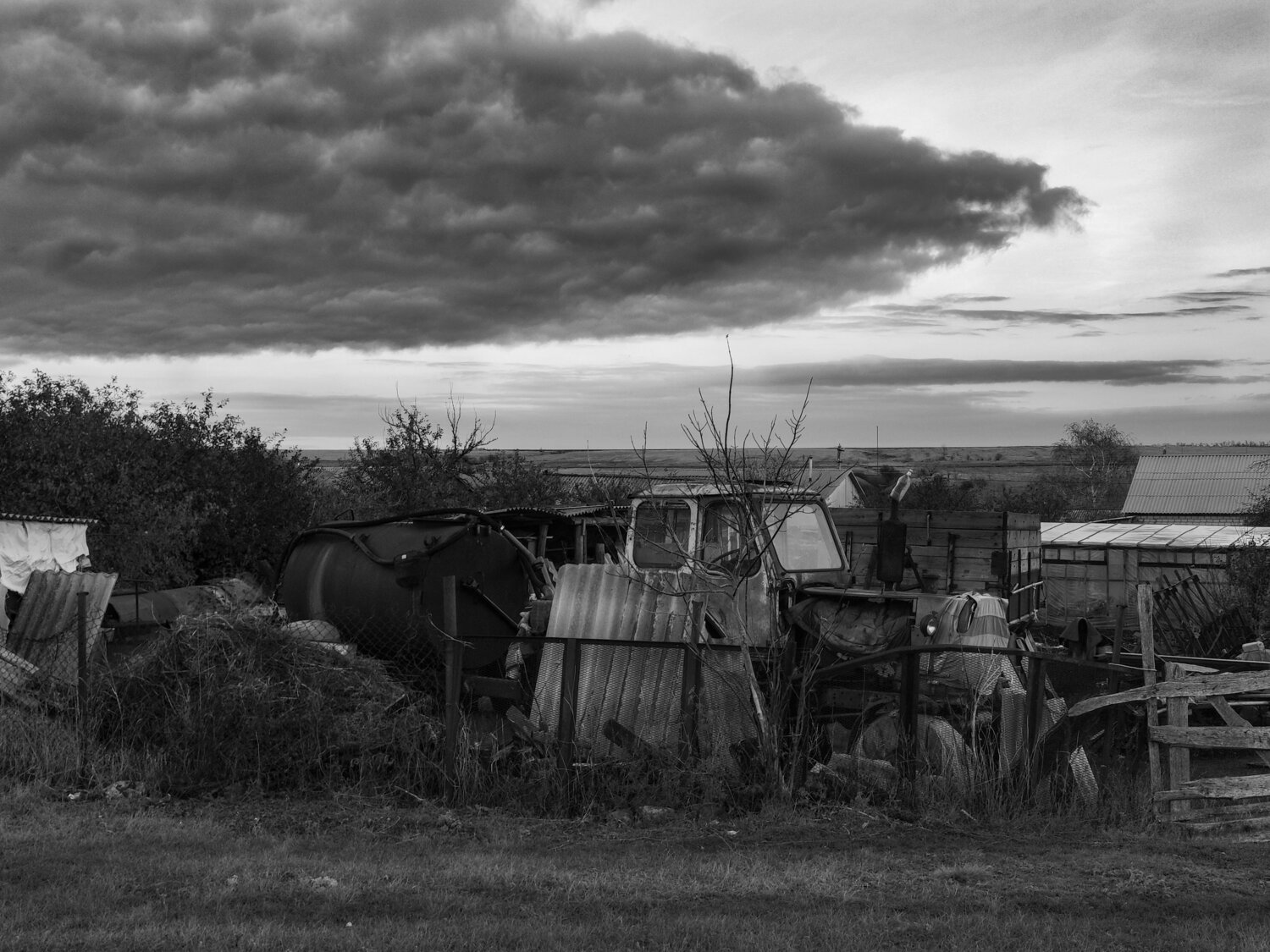 Photo #14098196