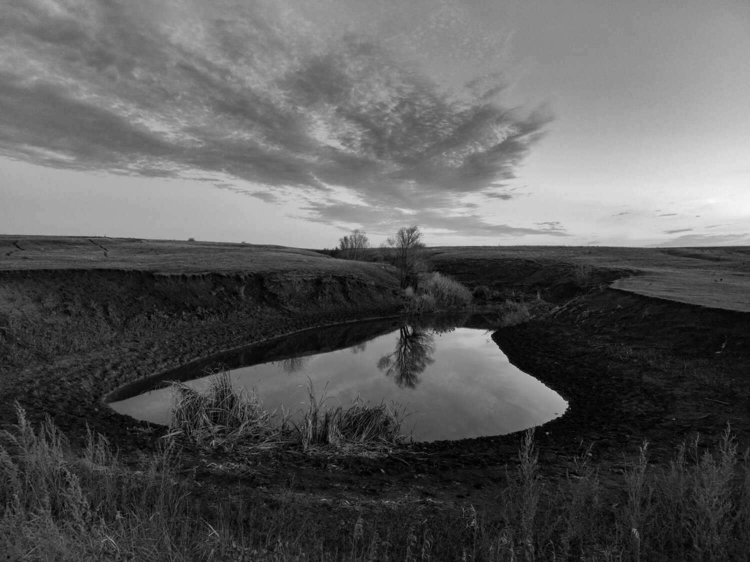 Photo #14098197